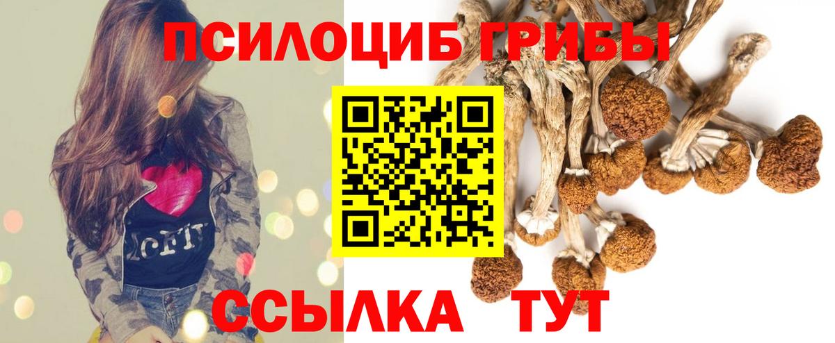 Галлюциногенные грибы прущие грибы  Вход с VPN  Назрань 